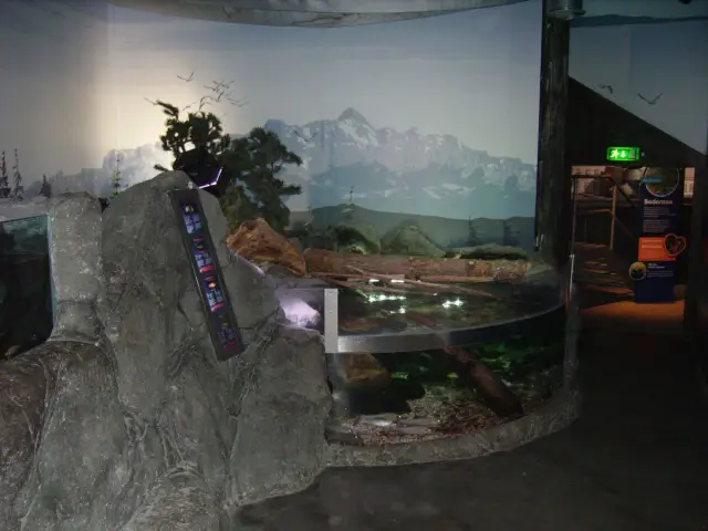 Редкое скопление акул и скатов из прибрежной среды эоценового Мадагаскара: эта находка, включая один новый вид акул, заполняет пробел в известных морских летописях Мадагаскара