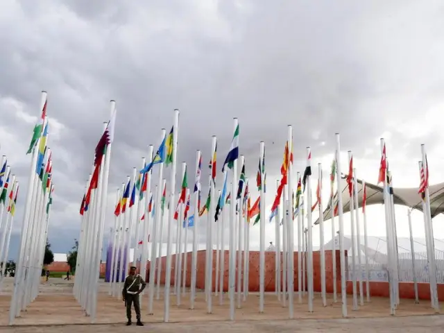 Несмотря на запреты на экспорт, мировая торговля морскими коньками продолжается: национальное законодательство, а также запреты в соответствии с международным соглашением СИТЕС не замедляют торговлю п