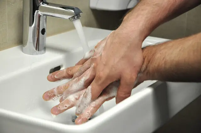 Новый методологический инструмент помогает обнаруживать синергетические явления в росте фитопланктона: новый подход к моделированию может также способствовать исследованиям лежащей в основе динамики д