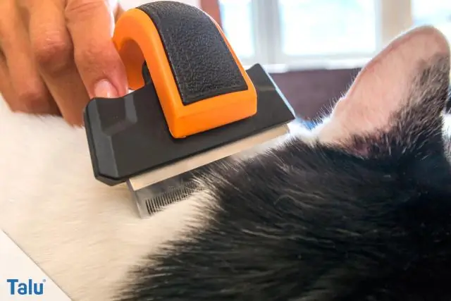 Насколько разборчивым вы должны быть? Когда животные выбирают себе пару, степень их разборчивости сильно различается