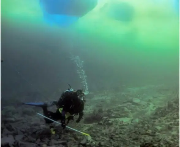 Изменение климата: кусочки Антарктики отсутствуют