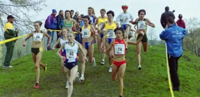 Человек и птица бегут по неровной поверхности