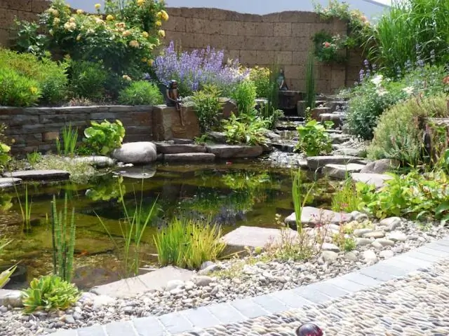 Распространяют ли пригородные садовые пруды смертельную болезнь лягушек?