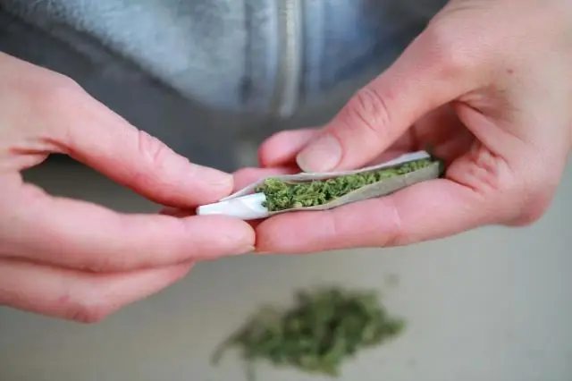 Вопреки распространенному мнению, кокаин не является движущей силой вырубки лесов, говорится в отчете