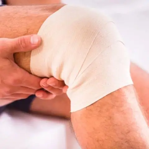 Эволюция вида также связана с переносчиками бактерий