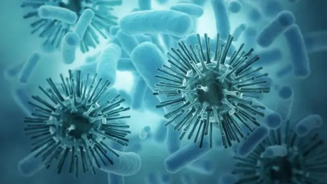 Новое понимание того, как устойчивые к лекарствам бактерии строят свою защиту