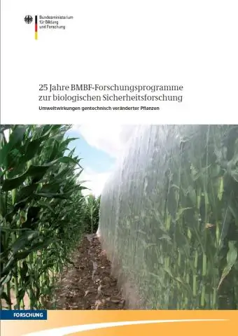 Генно-инженерные культуры безопасны, обзор исследований показывает