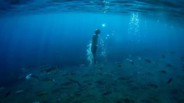 Первое свидетельство того, что глубоководные животные проглатывают микропластик