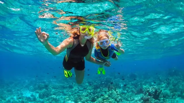 В морском заповеднике под руководством сообщества процветают омары