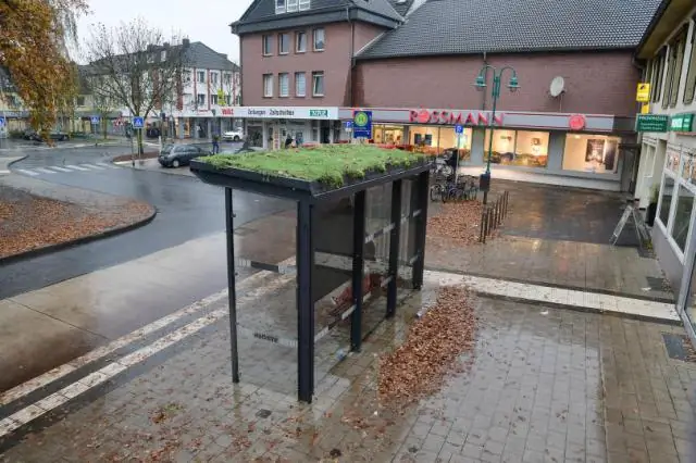 Города могут служить убежищем для насекомых-опылителей