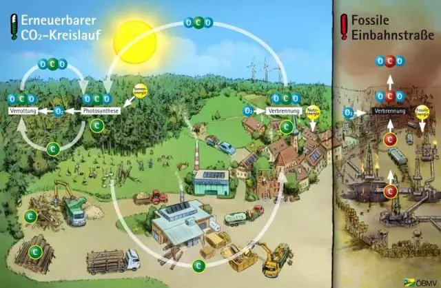 Будущее увеличение фотосинтеза растений, выявленное сезонным циклом углекислого газа