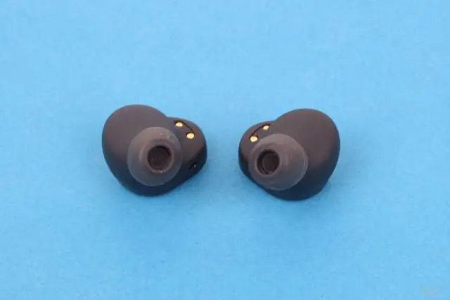 Услышав один и тот же звук дважды в каждое ухо, насекомые находят себе пару