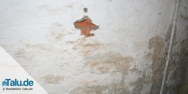 Дело об исчезновении континентальной коры Земли раскрыто: она затонула