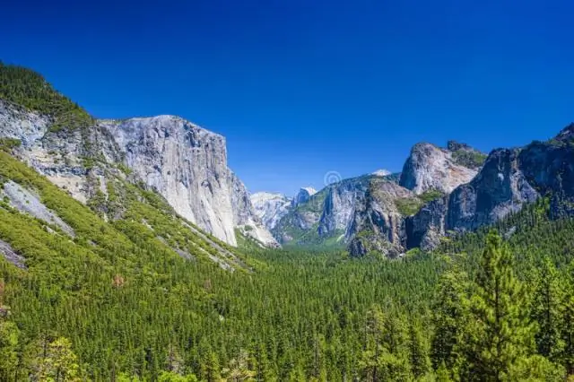 Удивительное выздоровление желтоногой лягушки Yosemite’s