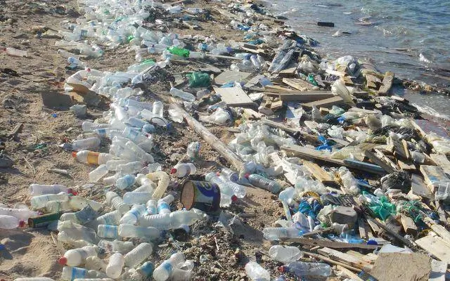 «Большое тихоокеанское мусорное пятно» хуже, чем ожидалось