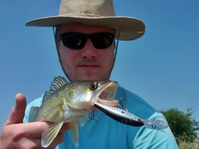 Самые успешные современные рыбы не всегда были выдающимися эволюционистами