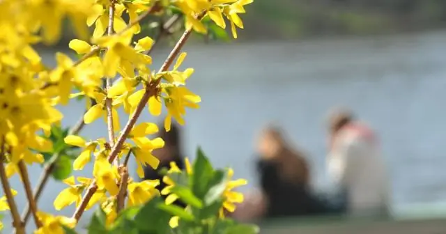 Весна в национальных парках США начинается раньше, выяснили ученые