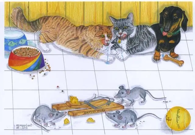 Обманчивые цветы, обманывающие насекомых: как цветы-парашютисты заманивают своих опылителей в ловушку