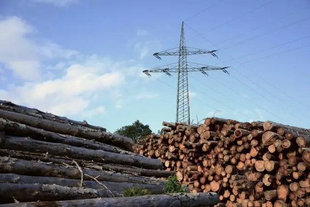 Полиамиды из отходов деревообрабатывающей промышленности