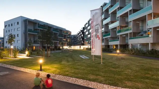 Прибрежные воды Ирана: новый дом для редко встречающейся ядовитой морской змеи