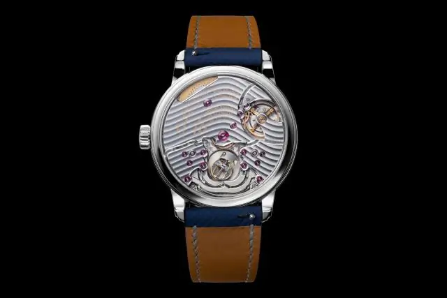 Движение mTORC1 впервые наблюдается в живых клетках