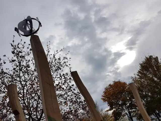 Матери диких шимпанзе учат детенышей пользоваться инструментами