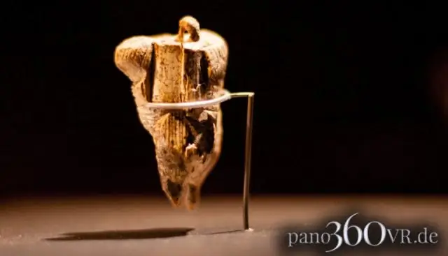 Самая старая из известных коробок с криками предполагает, что динозавры, вероятно, не пели