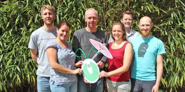 Calredoxin, новый белок, способствующий эффективному фотосинтезу