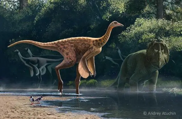 Уникальные отпечатки кожи последних динозавров из современной Европы