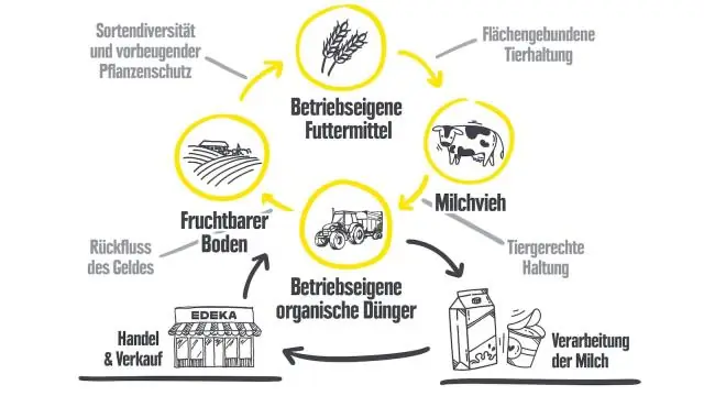 Здоровая почва необходима для экономики замкнутого цикла