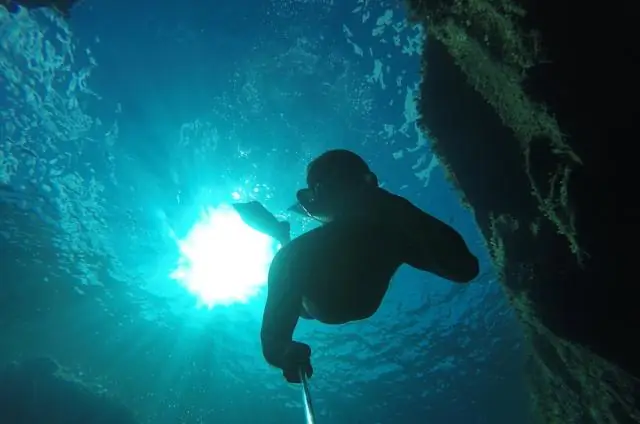 Исследователи энергии волн углубляются в разработку экологически чистых источников энергии