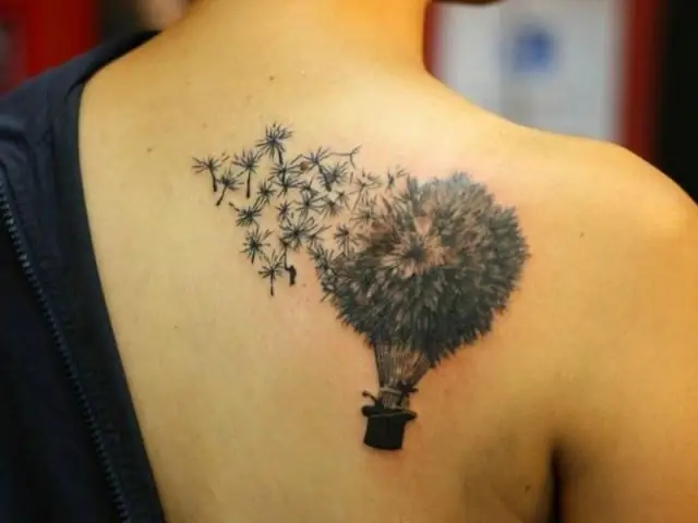 Почему некоторые колибри надуваются перед полетом на юг