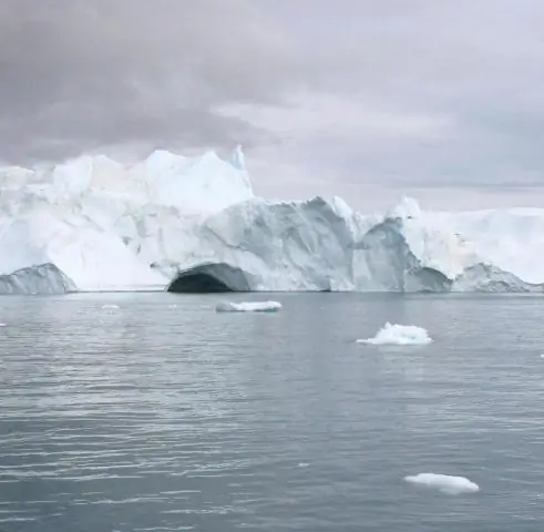 Последствия изменения климата Антарктики: экстремальное таяние льдов Антарктиды дает представление о реакции экосистемы на глобальное изменение климата