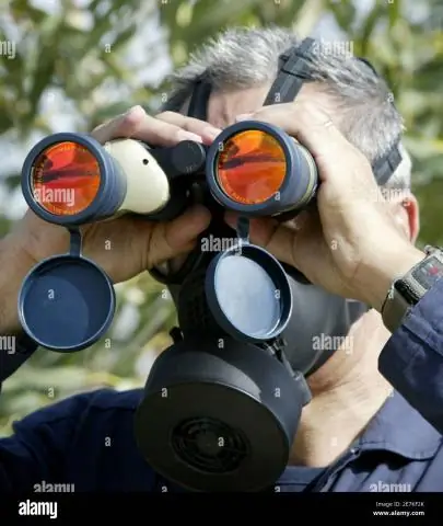 Миграционные пути являются ключом к распространению птичьего гриппа, говорится в глобальном исследовании