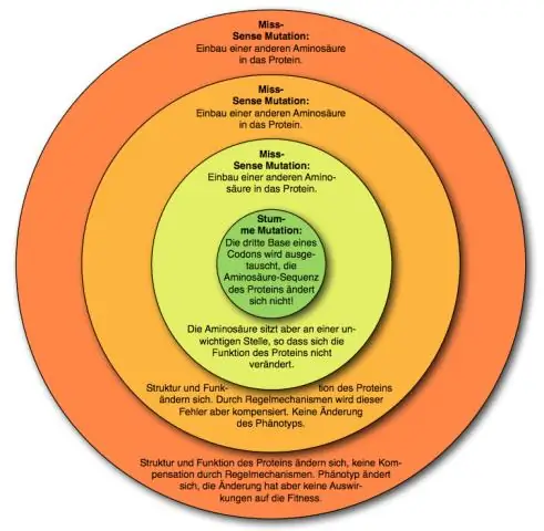 Человеческий транспорт имеет непредсказуемые генетические и эволюционные последствия для морских видов