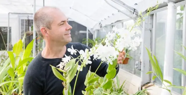 Исследователи биотоплива с дизайнерским лигнином воспроизвели эволюционный путь