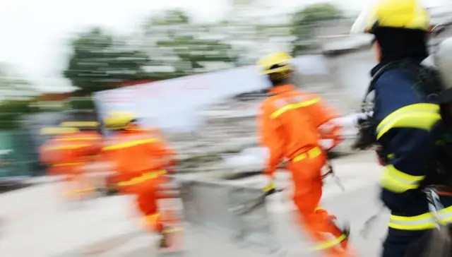 Серии землетрясений вызывают вариации подъема на окраинах континентов