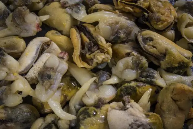 Наживка – ценный морской ресурс