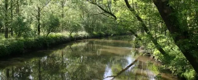 Объяснена судьба нано- и микропластика в реках