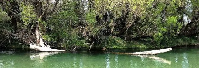 На филиппинском острове исследования указывают на «бычий глаз» биоразнообразия