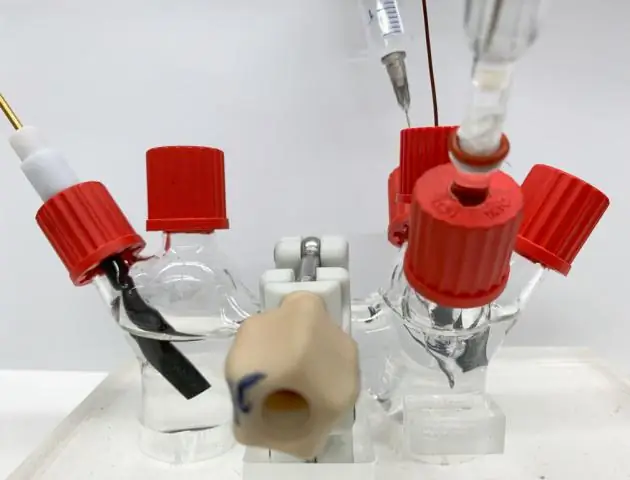 Технология может снизить стоимость производства биопластиков и биотоплива