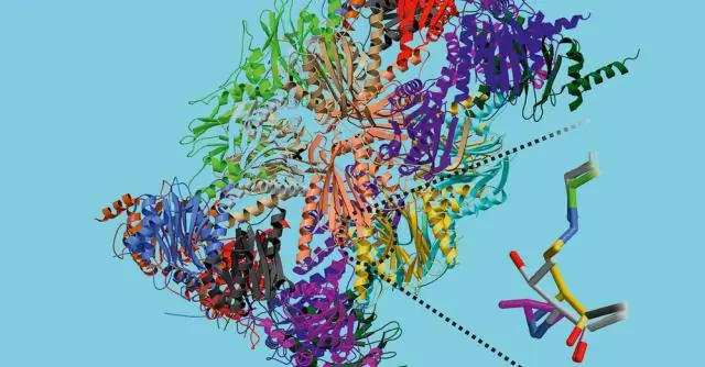 Компьютерное моделирование разбивает вирус на части, чтобы узнать, как они собираются вместе