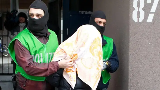 Борьба с вырубкой лесов: почему конголезские фермеры вырубают леса?