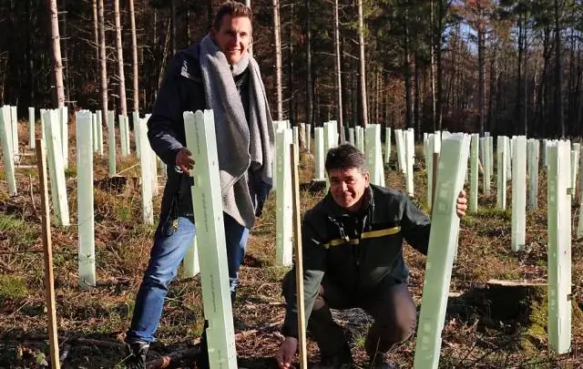 Изменение климата вызывает заболевание жаб грибком в Пиренеях