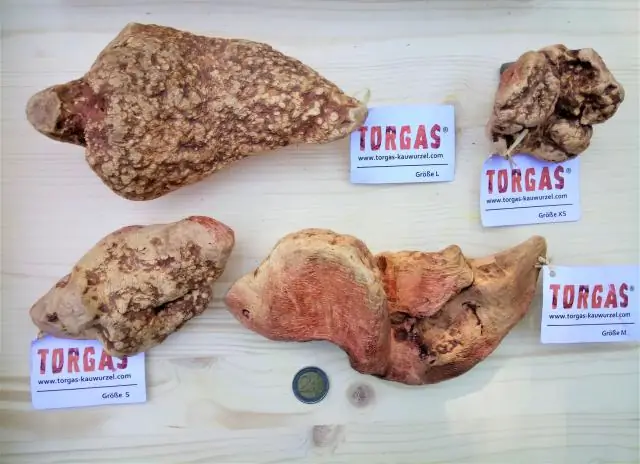 Как хохлачи передают вредные вещества своим детенышам