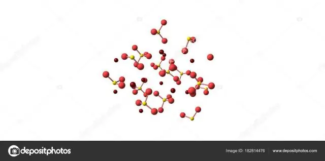 Диаграмма роста раковин по атомам помогает расшифровать прошлый климат