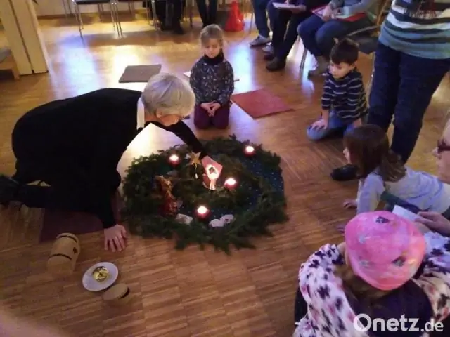 Ученые проследили путь гормонов растений на 450 миллионов лет назад