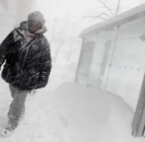 Эль-Ниньо влияет на формирование систем низкого давления над Гольфстримом