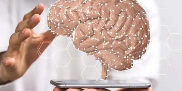 Исследование показывает, какие гены имеют решающее значение для реакции растений на засуху