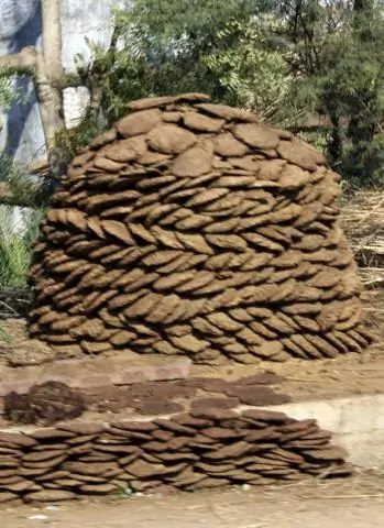 Индийские придорожные пожары производят ядовитую радугу